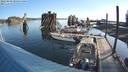 ./images/quadra/hbidock/20220809/hbidock20220809_080500M.jpg