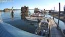 ./images/quadra/hbidock/20220809/hbidock20220809_081001M.jpg