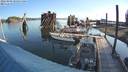 ./images/quadra/hbidock/20220809/hbidock20220809_081501M.jpg