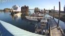./images/quadra/hbidock/20220809/hbidock20220809_083500M.jpg