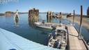 ./images/quadra/hbidock/20220809/hbidock20220809_122500M.jpg