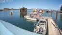 ./images/quadra/hbidock/20220809/hbidock20220809_143000M.jpg