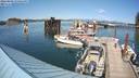 ./images/quadra/hbidock/20220809/hbidock20220809_155000M.jpg