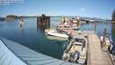 ./images/quadra/hbidock/20220809/hbidock20220809_155500M.jpg