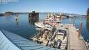 ./images/quadra/hbidock/20220809/hbidock20220809_161500M.jpg