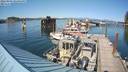 ./images/quadra/hbidock/20220809/hbidock20220809_162001M.jpg