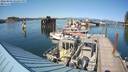 ./images/quadra/hbidock/20220809/hbidock20220809_162501M.jpg