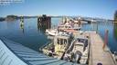 ./images/quadra/hbidock/20220809/hbidock20220809_163000M.jpg