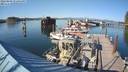 ./images/quadra/hbidock/20220809/hbidock20220809_173000M.jpg
