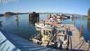 ./images/quadra/hbidock/20220809/hbidock20220809_173500M.jpg