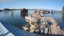 ./images/quadra/hbidock/20220809/hbidock20220809_175000M.jpg