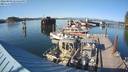 ./images/quadra/hbidock/20220809/hbidock20220809_175500M.jpg