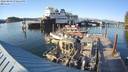 ./images/quadra/hbidock/20220809/hbidock20220809_190500M.jpg