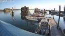 ./images/quadra/hbidock/20220810/hbidock20220810_081000M.jpg