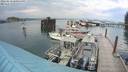 ./images/quadra/hbidock/20220810/hbidock20220810_180500M.jpg