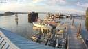 ./images/quadra/hbidock/20220810/hbidock20220810_194500M.jpg