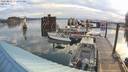 ./images/quadra/hbidock/20220811/hbidock20220811_072500M.jpg
