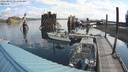 ./images/quadra/hbidock/20220811/hbidock20220811_093000M.jpg