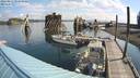 ./images/quadra/hbidock/20220811/hbidock20220811_094000M.jpg