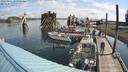 ./images/quadra/hbidock/20220811/hbidock20220811_095000M.jpg