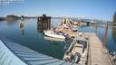 ./images/quadra/hbidock/20220811/hbidock20220811_162500M.jpg