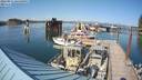 ./images/quadra/hbidock/20220811/hbidock20220811_164000M.jpg