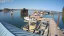 ./images/quadra/hbidock/20220811/hbidock20220811_164500M.jpg