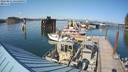 ./images/quadra/hbidock/20220811/hbidock20220811_165000M.jpg