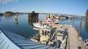 ./images/quadra/hbidock/20220811/hbidock20220811_165500M.jpg