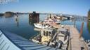 ./images/quadra/hbidock/20220811/hbidock20220811_170000M.jpg