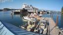./images/quadra/hbidock/20220811/hbidock20220811_171500M.jpg