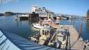 ./images/quadra/hbidock/20220811/hbidock20220811_172000M.jpg