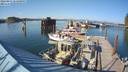./images/quadra/hbidock/20220811/hbidock20220811_173001M.jpg