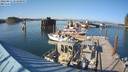 ./images/quadra/hbidock/20220811/hbidock20220811_173501M.jpg
