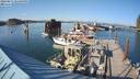 ./images/quadra/hbidock/20220811/hbidock20220811_174000M.jpg