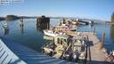 ./images/quadra/hbidock/20220811/hbidock20220811_175500M.jpg