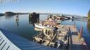 ./images/quadra/hbidock/20220811/hbidock20220811_183500M.jpg