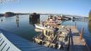 ./images/quadra/hbidock/20220811/hbidock20220811_184000M.jpg