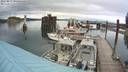 ./images/quadra/hbidock/20220813/hbidock20220813_095500M.jpg