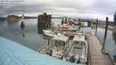 ./images/quadra/hbidock/20220813/hbidock20220813_100001M.jpg