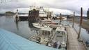 ./images/quadra/hbidock/20220813/hbidock20220813_110501M.jpg