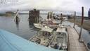 ./images/quadra/hbidock/20220813/hbidock20220813_111500M.jpg