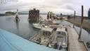 ./images/quadra/hbidock/20220813/hbidock20220813_113000M.jpg