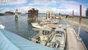 ./images/quadra/hbidock/20220813/hbidock20220813_151000M.jpg