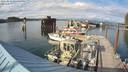 ./images/quadra/hbidock/20220813/hbidock20220813_175500M.jpg