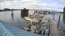 ./images/quadra/hbidock/20220813/hbidock20220813_181000M.jpg