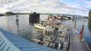 ./images/quadra/hbidock/20220813/hbidock20220813_185500M.jpg