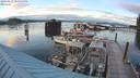 ./images/quadra/hbidock/20220813/hbidock20220813_202001M.jpg