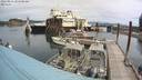 ./images/quadra/hbidock/20220814/hbidock20220814_105501M.jpg