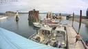./images/quadra/hbidock/20220814/hbidock20220814_113000M.jpg